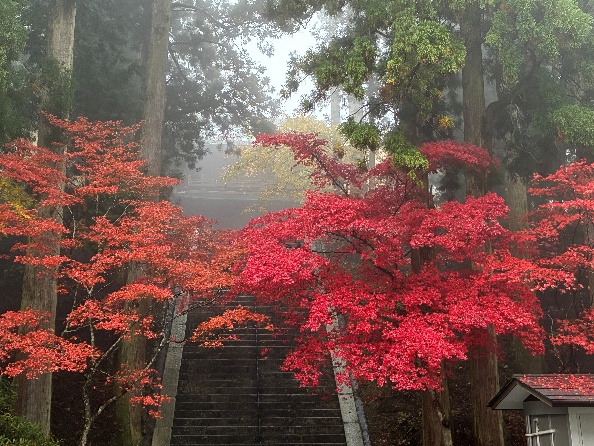 技工団労働災害防止協力会　安全祈願旅行2025