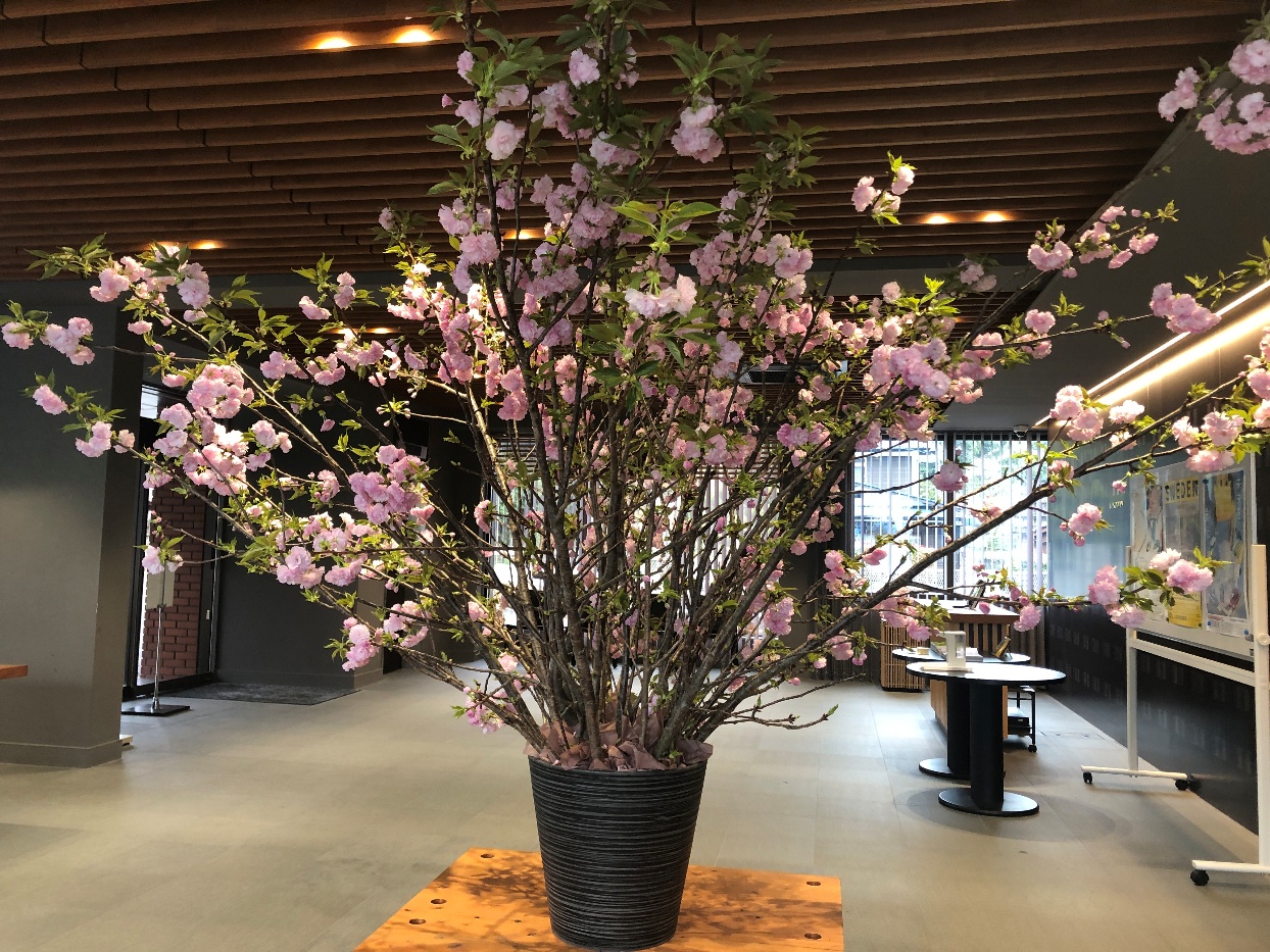 2026年度がスタートしました